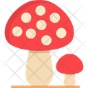 پیش‌نمایش فایل shitake-mushroom-6283412 از پک کمپینگ