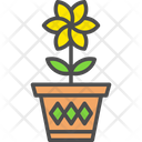 پیش‌نمایش فایل flower-pot-6311737 از پک موفقیت