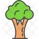 پیش‌نمایش فایل broccoli-6390065 از پک سوپرمارکت