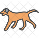 پیش‌نمایش فایل dog-6525867 از پک فعالیت