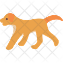 پیش‌نمایش فایل dog-6526066 از پک فعالیت