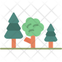پیش‌نمایش فایل forest-6526134 از پک فعالیت