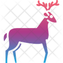 پیش‌نمایش فایل animal-7767787 از پک کمپینگ