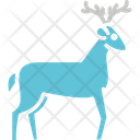 پیش‌نمایش فایل animal-7842139 از پک کمپینگ