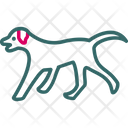 پیش‌نمایش فایل animal-8222286 از پک فعالیت