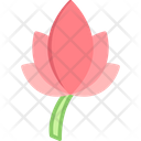 پیش‌نمایش فایل bloom-8081698 از پک مسیریابی