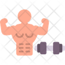 پیش‌نمایش فایل dumbbells-8081725 از پک مسیریابی