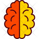 پیش‌نمایش فایل brain-8281298 از پک فیزیک