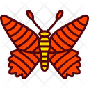 پیش‌نمایش فایل butterfly-8267203 از پک استوایی