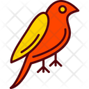 پیش‌نمایش فایل dove-8267200 از پک استوایی
