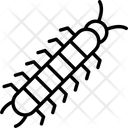 پیش‌نمایش فایل bizarre-12096299 از پک جنگل بارانی