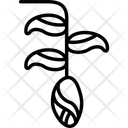 پیش‌نمایش فایل floral-12096313 از پک جنگل بارانی