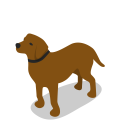 پیش‌نمایش فایل dog-225 از پک آیکون های مزرعه