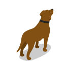 پیش‌نمایش فایل dog-226 از پک آیکون های مزرعه