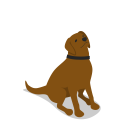 پیش‌نمایش فایل dog-227 از پک آیکون های مزرعه