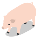 پیش‌نمایش فایل pig-55 از پک آیکون های مزرعه
