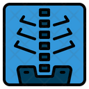 پیش‌نمایش فایل xray-3579646 از پک بیمارستان