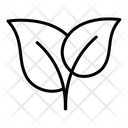 پیش‌نمایش فایل leaves-4087171 از پک لوازم آرایشی ارگانیک