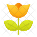 پیش‌نمایش فایل flower-4087249 از پک لوازم آرایشی ارگانیک