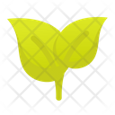 پیش‌نمایش فایل leaves-4087258 از پک لوازم آرایشی ارگانیک