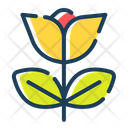 پیش‌نمایش فایل flower-4087278 از پک لوازم آرایشی ارگانیک