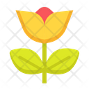 پیش‌نمایش فایل flower-4087220 از پک لوازم آرایشی ارگانیک