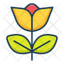 پیش‌نمایش فایل flower-4087191 از پک لوازم آرایشی ارگانیک