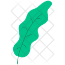 پیش‌نمایش فایل leaf-4765036 از پک برگ و گل