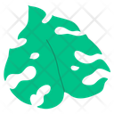 پیش‌نمایش فایل leaf-4765038 از پک برگ و گل