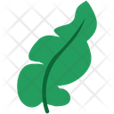 پیش‌نمایش فایل banana-leaf-5053452 از پک برگ ها