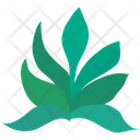 پیش‌نمایش فایل decorative-plants-5053453 از پک برگ ها