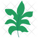 پیش‌نمایش فایل decorative-plants-5053457 از پک برگ ها