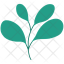 پیش‌نمایش فایل leaf-5053455 از پک برگ ها