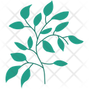 پیش‌نمایش فایل plant-5053451 از پک برگ ها