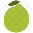 پیش‌نمایش فایل guava-3584603 از پک میوه ها