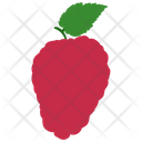 پیش‌نمایش فایل raspberry-3584612 از پک میوه ها