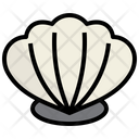 پیش‌نمایش فایل shell-6198896 از پک دریا
