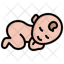 پیش‌نمایش فایل baby-6375711 از پک کودکی
