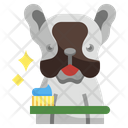 پیش‌نمایش فایل brush-dog-teeth-3806269 از پک آراستگی حیوان خانگی
