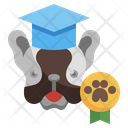 پیش‌نمایش فایل dog-training-3806275 از پک آراستگی حیوان خانگی