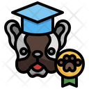 پیش‌نمایش فایل dog-training-3806305 از پک آراستگی حیوان خانگی