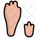 پیش‌نمایش فایل rabbit-3873815 از پک ردپاها