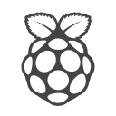 پیش‌نمایش فایل rasberry از پک آیکون های توسعه