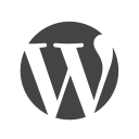 پیش‌نمایش فایل wordpress-25 از پک آیکون های توسعه