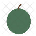 پیش‌نمایش فایل melon-1537272 از پک میوه ها (تخت)