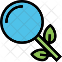 پیش‌نمایش فایل organic-search-seo-business-plan-company-startup از پک کسب‌وکار و سئو - رنگی