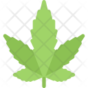 پیش‌نمایش فایل hemp از پک حقوق - فلت