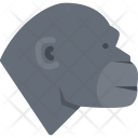 پیش‌نمایش فایل monkey-126 از پک حیوانات خانگی - فلت