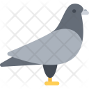 پیش‌نمایش فایل pigeon-11 از پک حیوانات خانگی - فلت