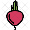 پیش‌نمایش فایل beet-vegetables-fruit-food-supermarket-1 از پک غذا - رنگی